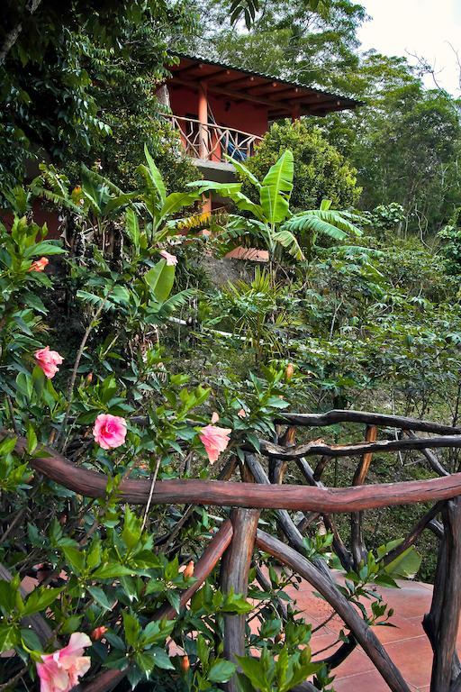 Casa Madre Tierra Hotel Vilcabamba Exterior foto
